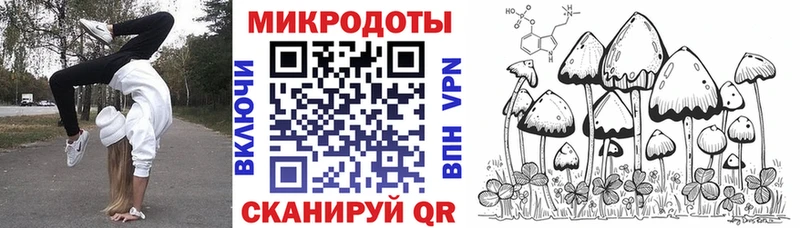 блэк спрут вход  Саранск  Галлюциногенные грибы MAGIC MUSHROOMS 